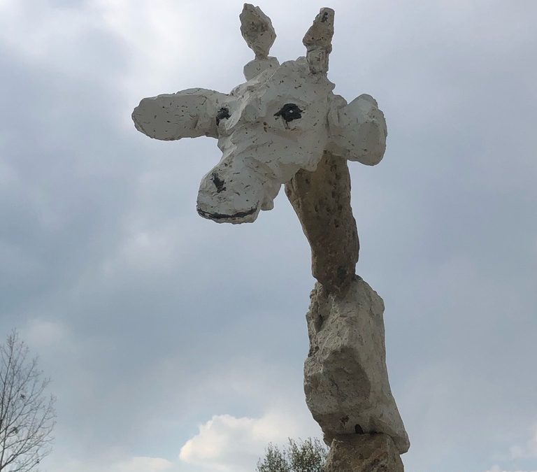 Portrait de Girafe